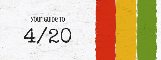 4/20 Survival guide