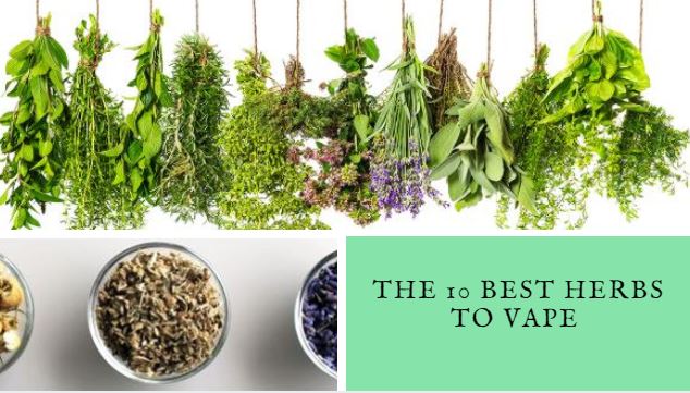 Comprehensive Guide to the 10 Best Herbs To Vape | Vapor.com vapor.com Comprehensive Guide to the 10 Best Herbs To Vape | Vapor.com vapor.com