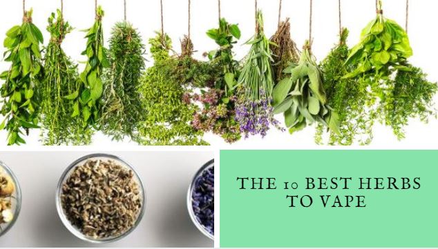 The 10 Best Herbs To Vape