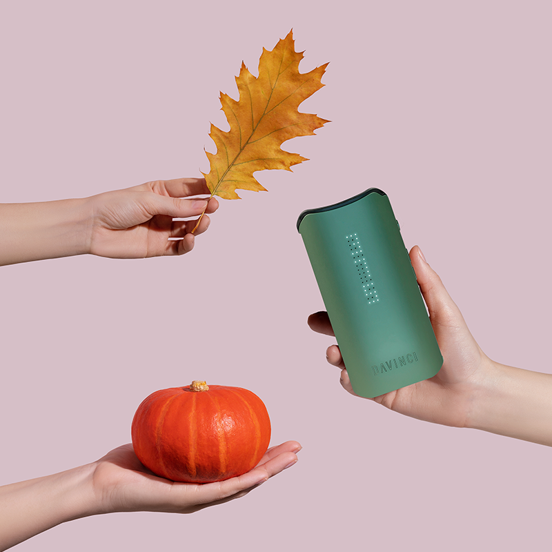 Harvesting Tranquility: Vaporizers for Fall Wellness