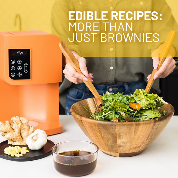 Levo 2 edibles recipe blog