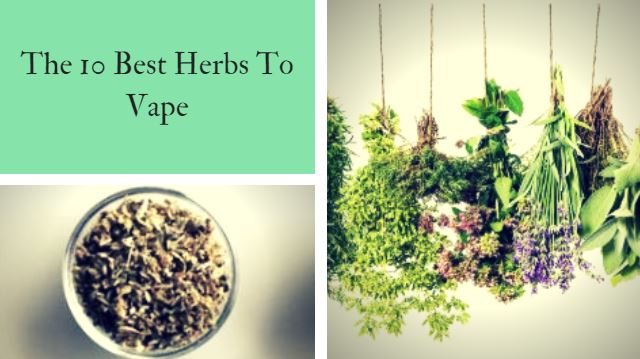 The 10 Best Herbs To Vape