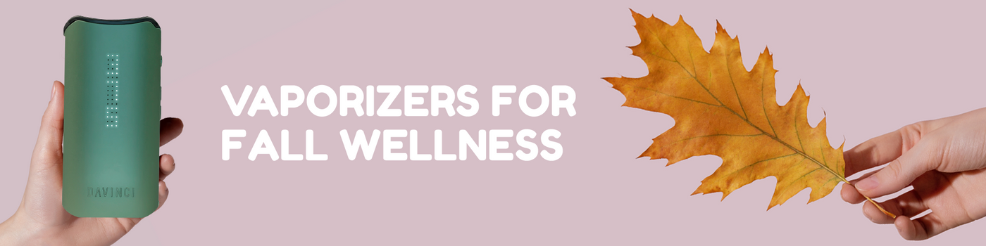 Harvesting Tranquility: Vaporizers for Fall Wellness