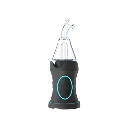 Dr.Dabber EVO Black Vaporizers : E-Rig Dr Dabber   