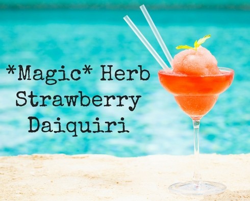 MagicalButter Honey + Strawberry Daiquiri