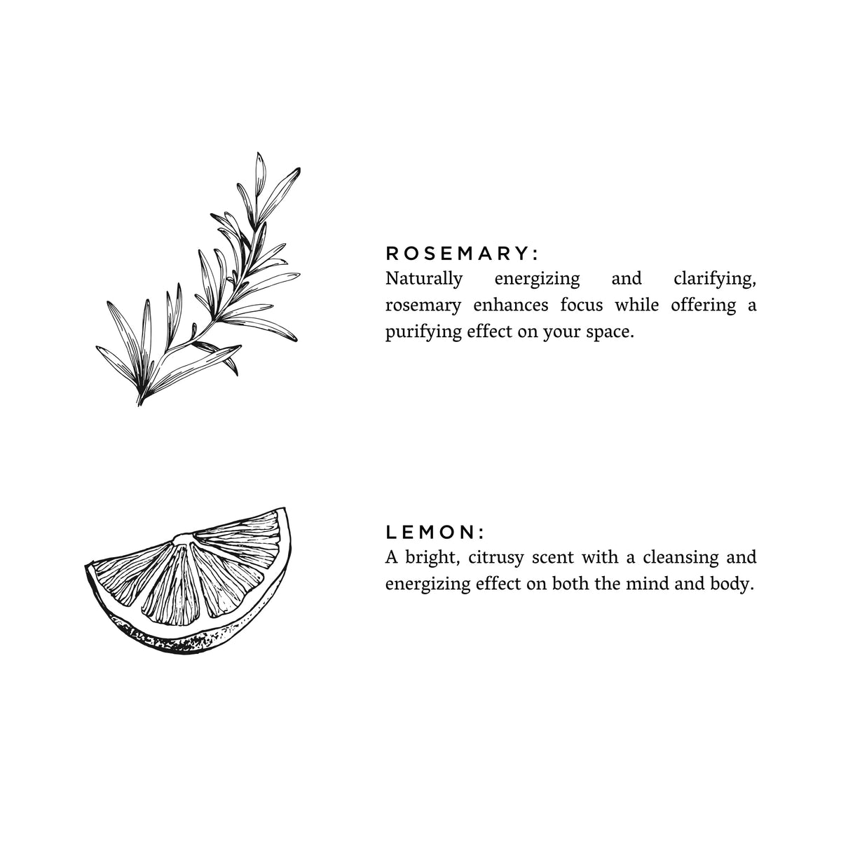 Rosemary + Lemon - Reed Diffuser